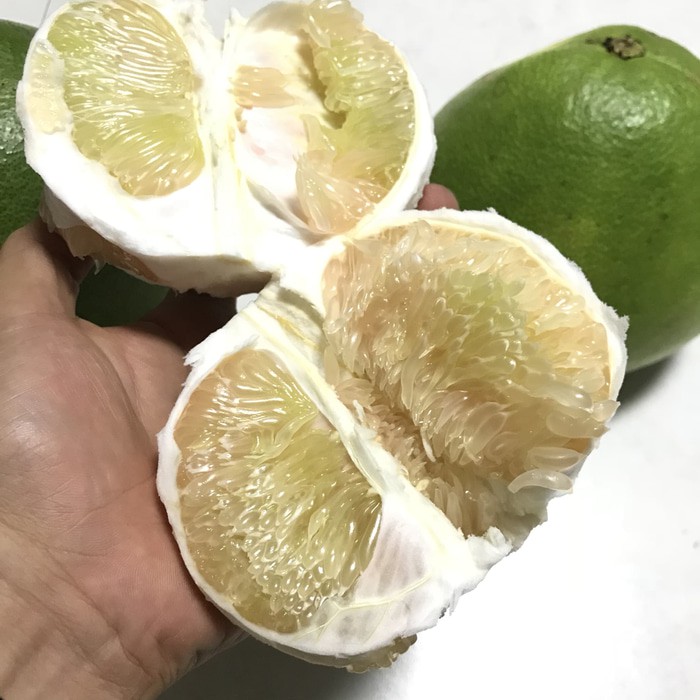 

Buah Jeruk Bali Madu Manis Jumbo - Harga Satuan Termurah