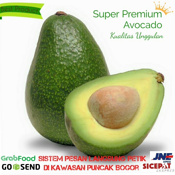 Buah Alpukat Mentega Super