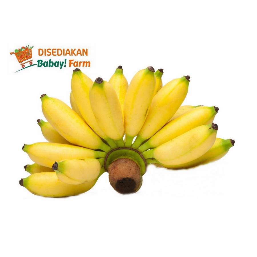 

Buah Pisang Barlin / ulin / uli / berlin per 1 Sisir