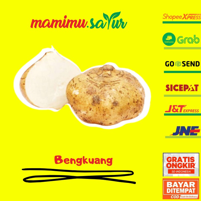

BENGKUANG 1 KG BENGKUANG 500 GR BENGKOANG 1 KG BENGKOANG 500 GR BENGKUANG SEGAR BENGKOANG SEGAR