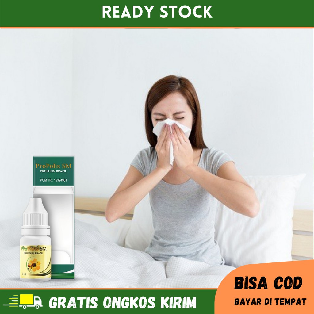 Obat Sinusitis, Pilek Menahun, Hidung Tersumbat, Sinusitis Akut, Obat Herbal Radang Sinus