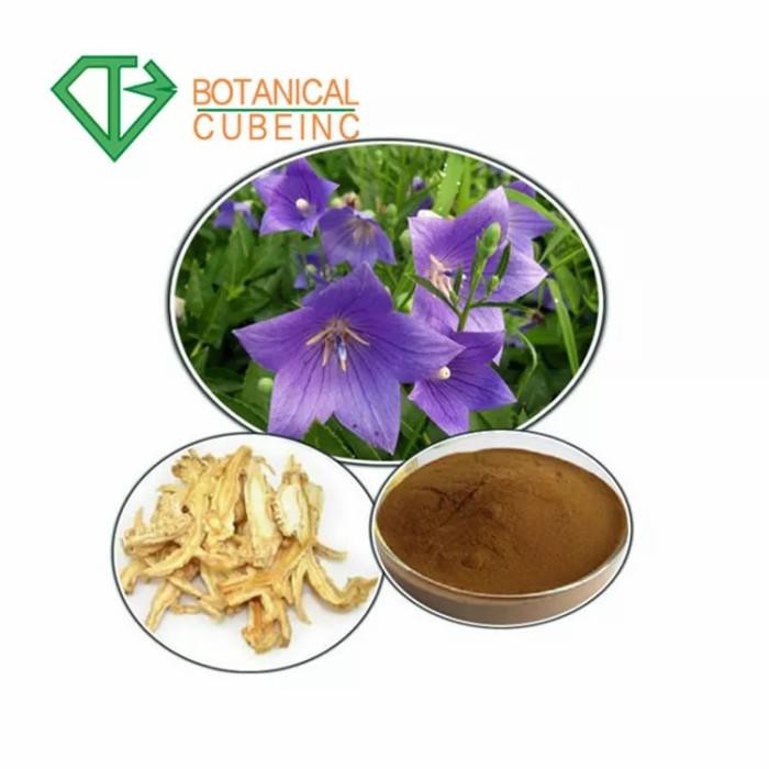 

PLATYCODON GRANDIFLORUS EXTRACT POWDER LONCENG CINA BUBUK 50GR