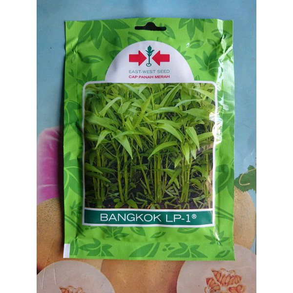 BENIH BIBIT KANGKUNG BANGKOK LP 01 CAP PANAH MERAH 1500 BIJI ORIGINAL-1