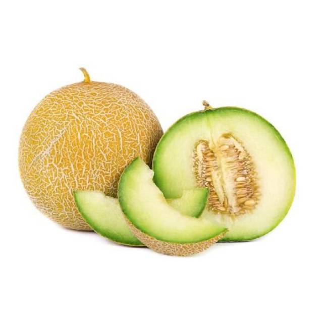 

MELON MADU SEGAR HARGA PER BUAH