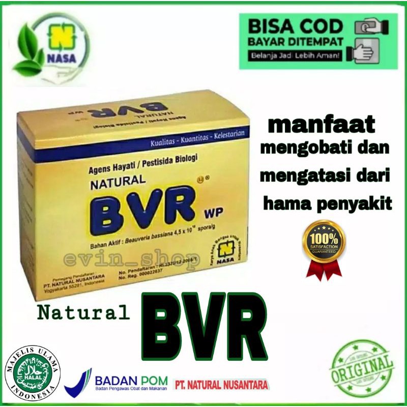 COD BVR NASA/OBAT ANTI HAMA/CARA MENGATASI HAMA/OBAT ANTI HAMA UNTUK PADI DAN TUMBUHAN LAIN