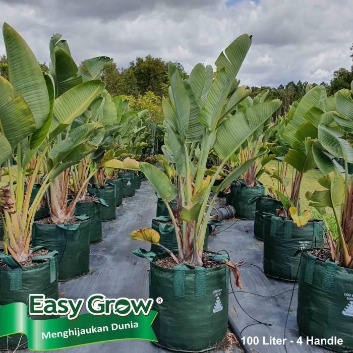 Planter Bag Easy Grow 100 Liter