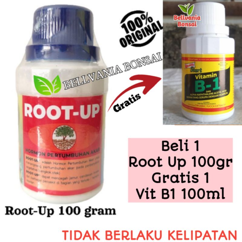 Jual Root Up Hormon Akar Gr Beli Root Up Gr Bonus Vitamin B Ml Shopee Indonesia