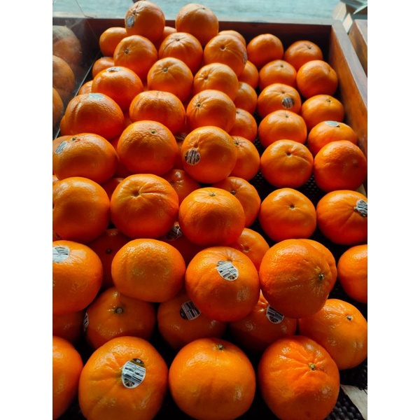 

Jeruk Honey Murcot termurah bekasi