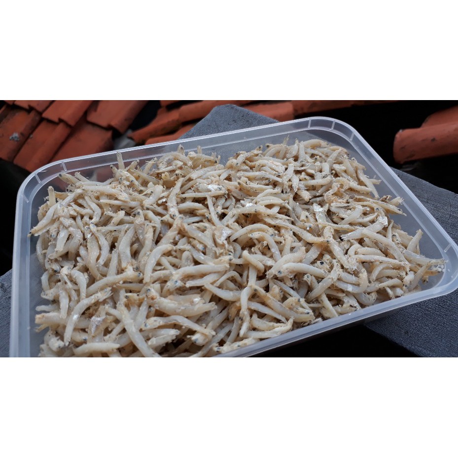 

ikan teri medan segar, kualitas super, murah. 200gr - Rp 40.000