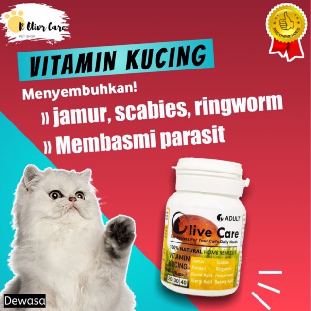 Vitamin Jamur Kulit Penyakit Kulit Kucing Dewasa Shopee Indonesia