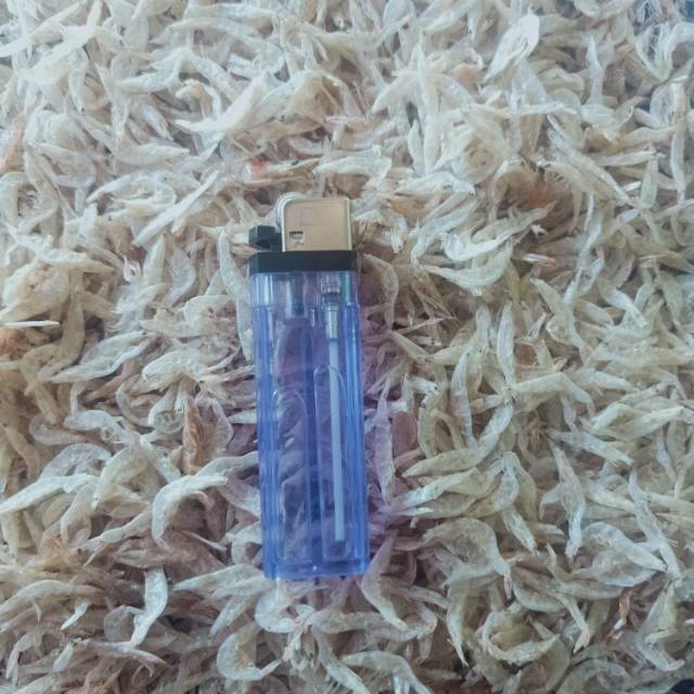 

Udang rebon kering tawar