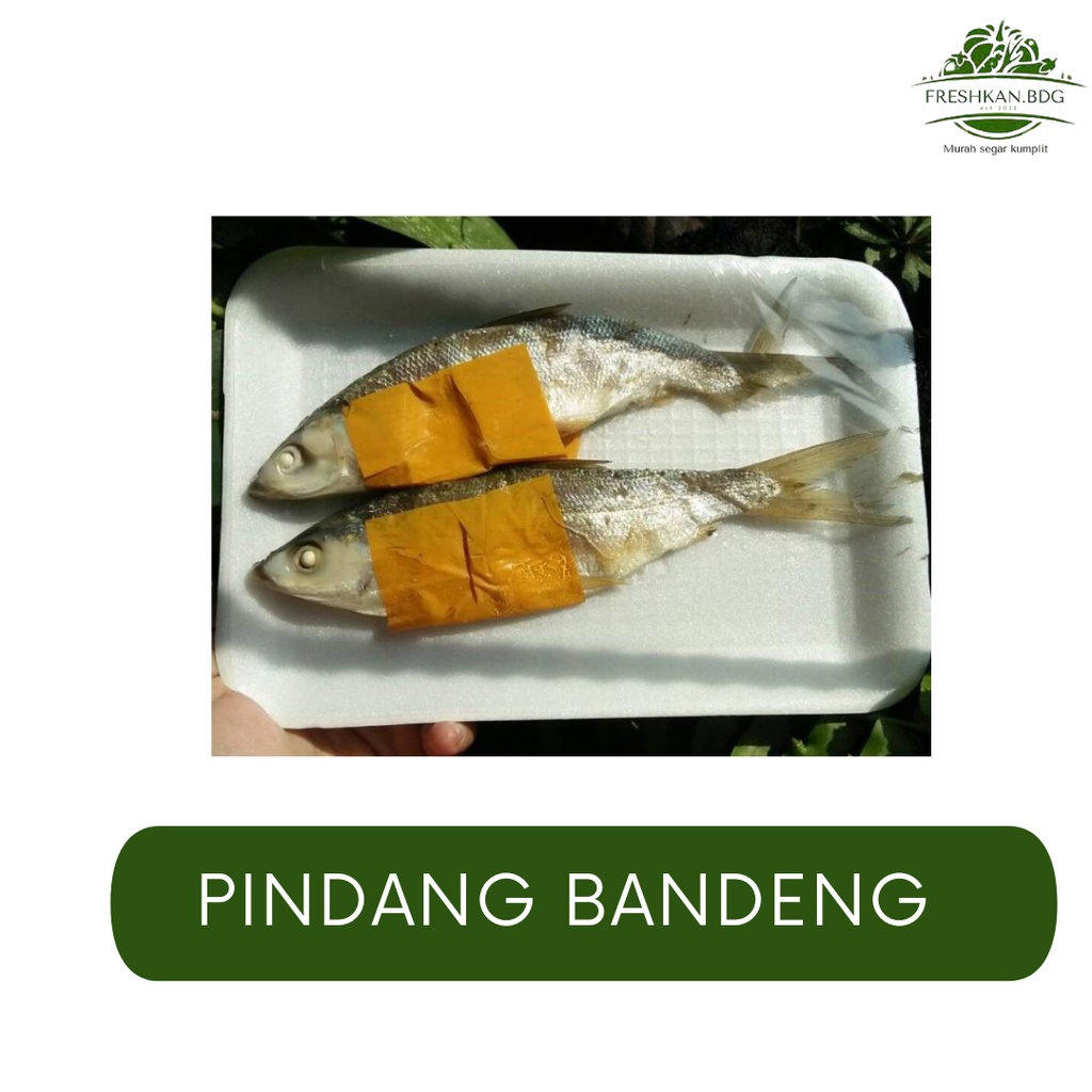 

IKAN PINDANG BANDENG