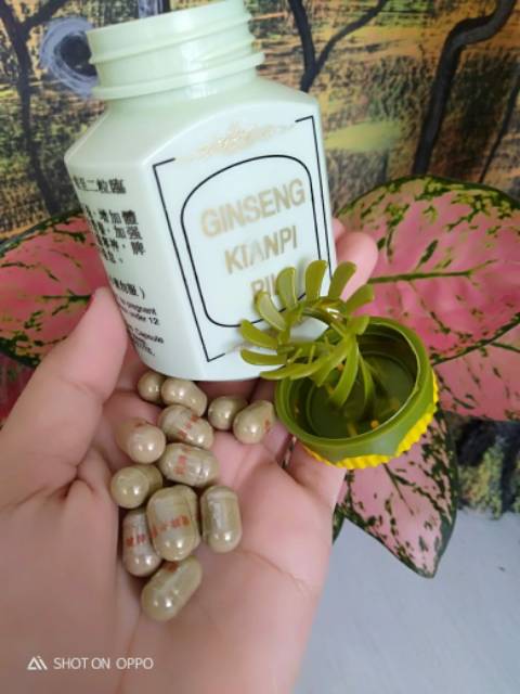 GINGSENG KP HIJAU NEW PACK ORIGINAL