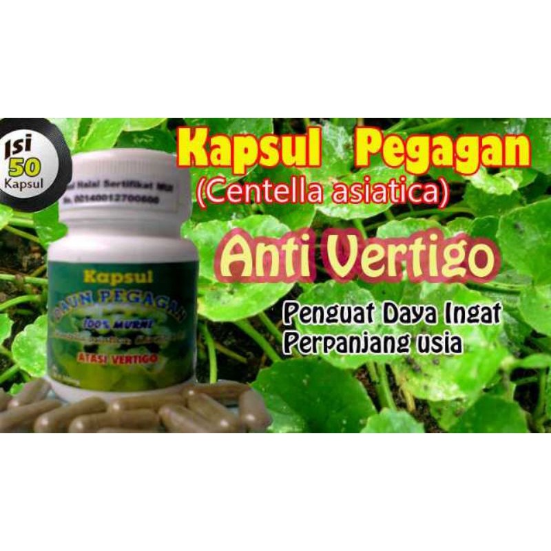 PEGAGAN Antanan Kapsul Herbal Penambah Daya Ingat Lemah Mental Anak
