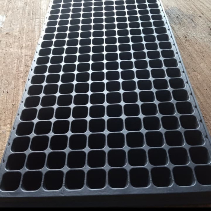 Pot try semai benih 200 lubang / media tanam bibit