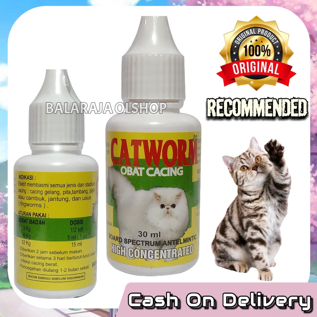 OBAT KUCING/KITTEN CACINGAN AMPUH MEMBASMI CACING PADA KUCING - CATWORM