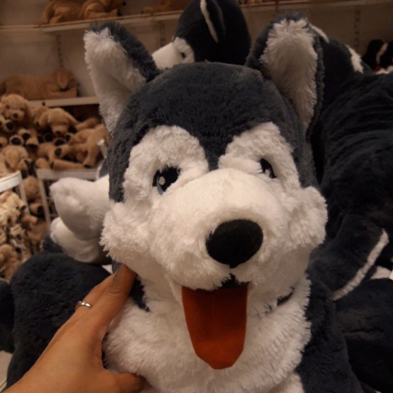 LIVLIGG, boneka, anjing/siberian husky, 57 cm
