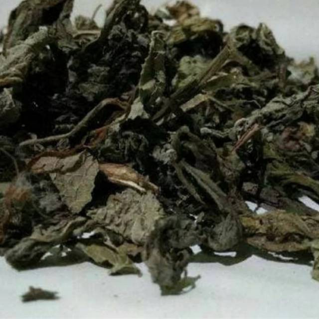 

Daun kering tempuyung 1 kg