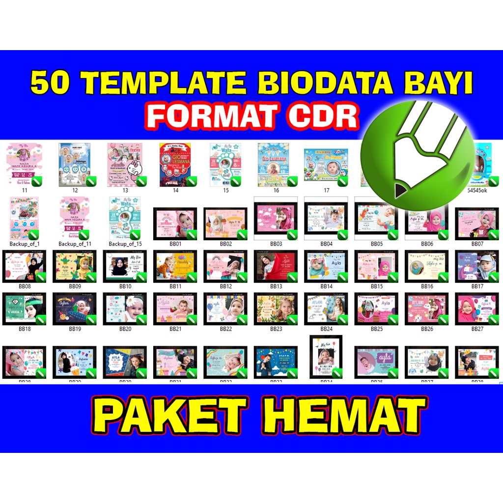 Paket usaha template biodata bayi