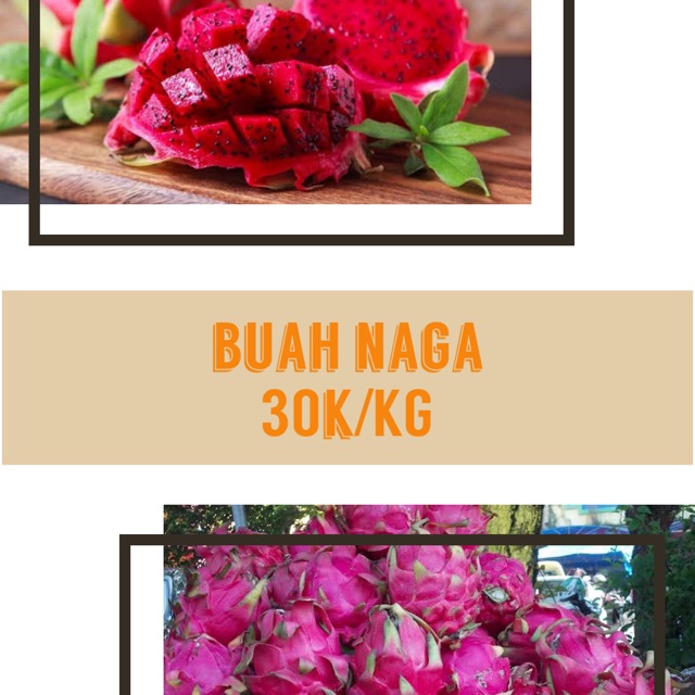

BUAH NAGA MERAH