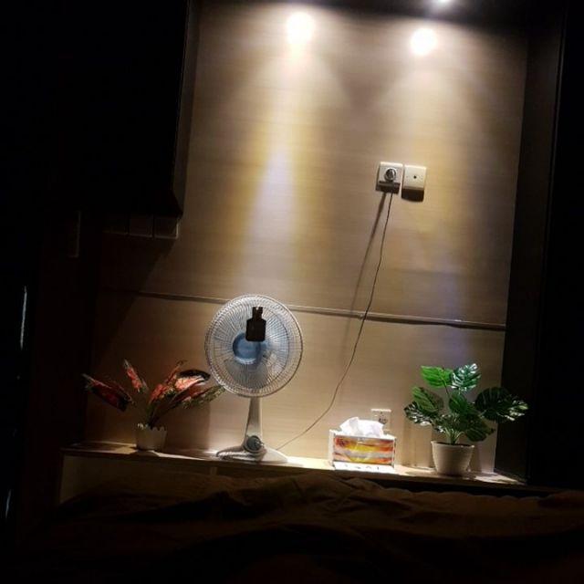 Fasahaya Kotak Tisu Dekoratif Motif Lucu Mudah Di Pasang Unik Ktdm01