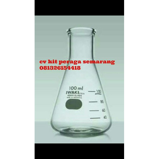 erlemenyer iwaki 100 ml