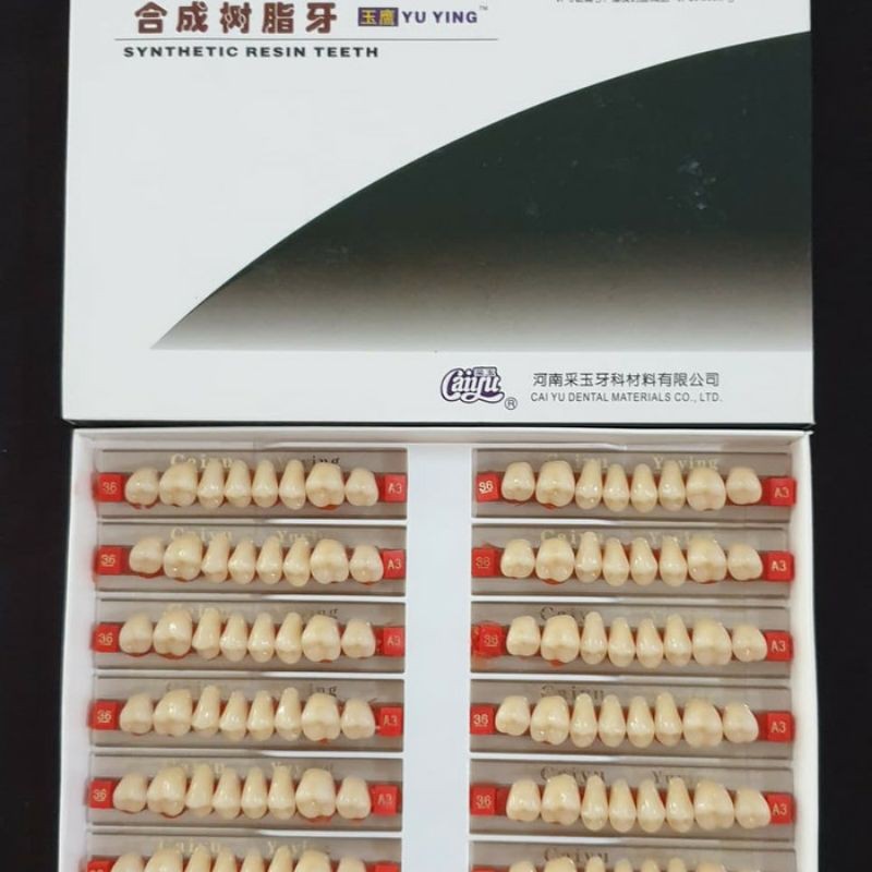 1 Kotak Gigi Palsu Akrilik Acrylic Caiyu DEPAN (Anterior) atau BELAKANG / Geraham (Posterior)