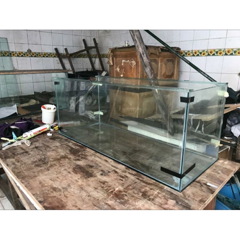 Aquarium ikan predator