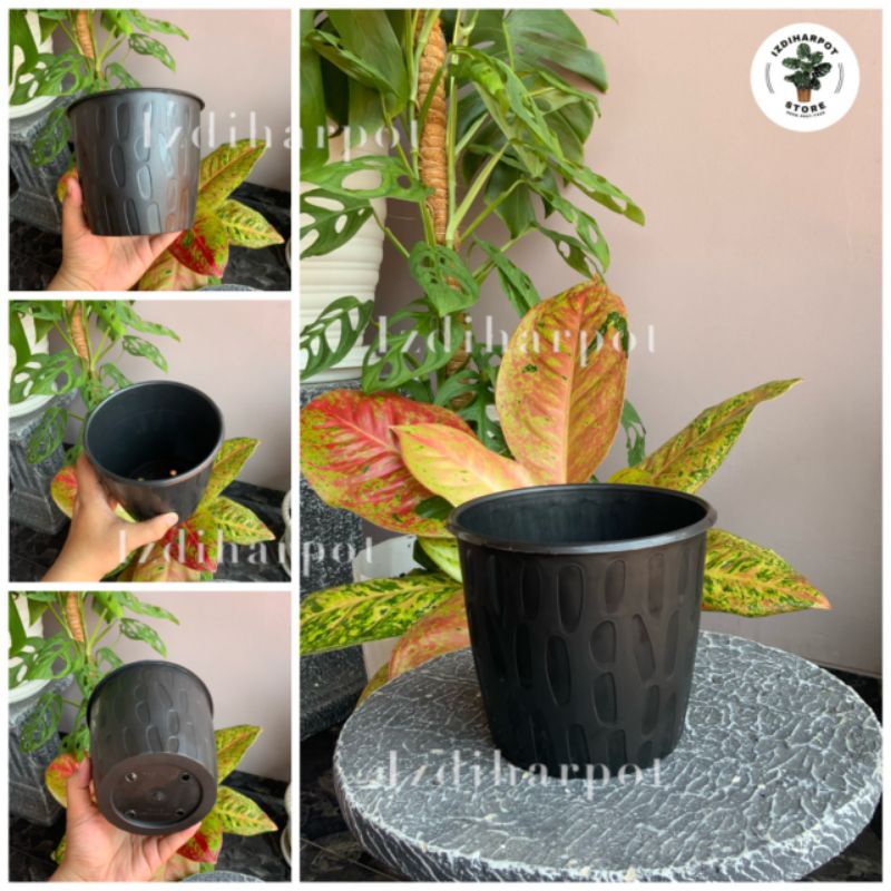 pot bunga tanaman motif kacang hitam 15cm - TABITHA PK 15 HITAM