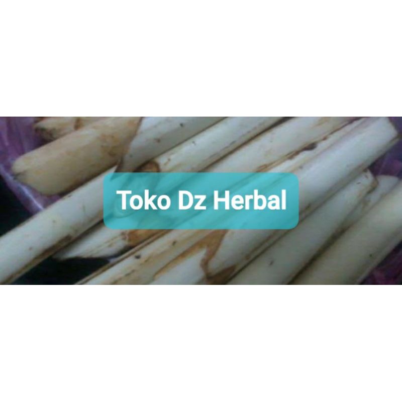 

Umbut rotan atau rotan muda segar-az