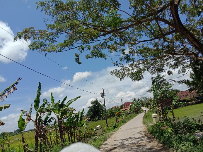 Hem Batik Anak Baju Anak Cowok Terlaris