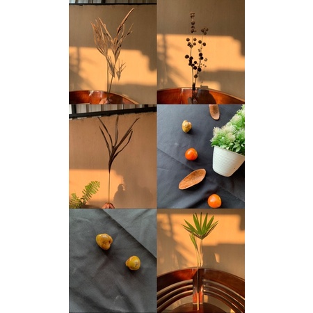 [PROPERTI FOTO ESTETIK JAMINAN HARGA TERMURAH]BUNGA KERING BUAT PROPERTI FOTO STUDIO FOTO PRODUK PRE