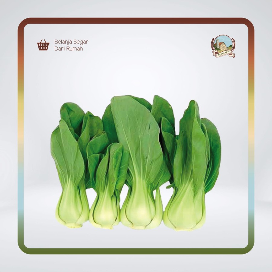 

Pokchoy 500 gr - Neorganic Fresh