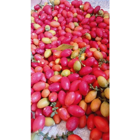 

TERMURAH buah melinjo/Tangkil lokal segar 500gr