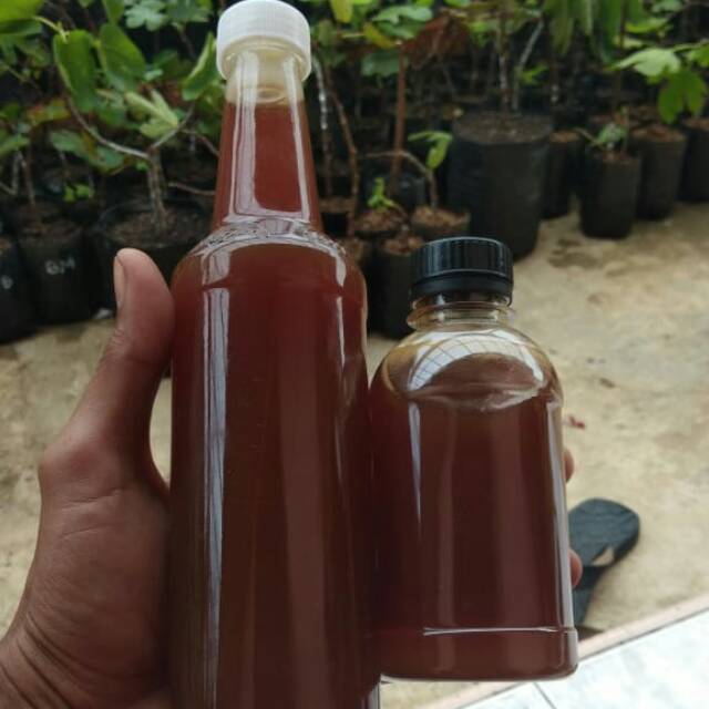 

Madu murni asli