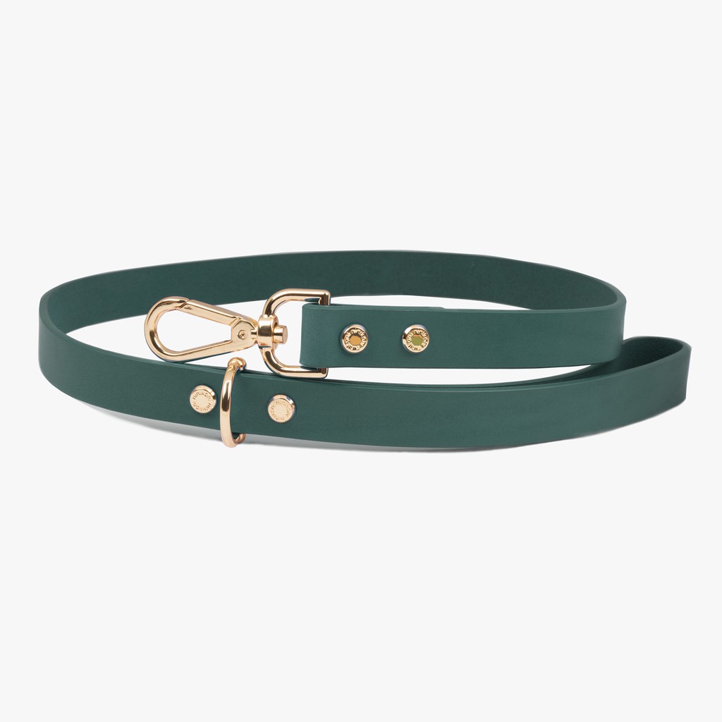 Tali Kekang Tanaman Rambat Italia Bahan Kulit Warna  Hijau  