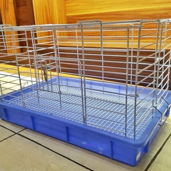 Kandang Kelinci guinea pig