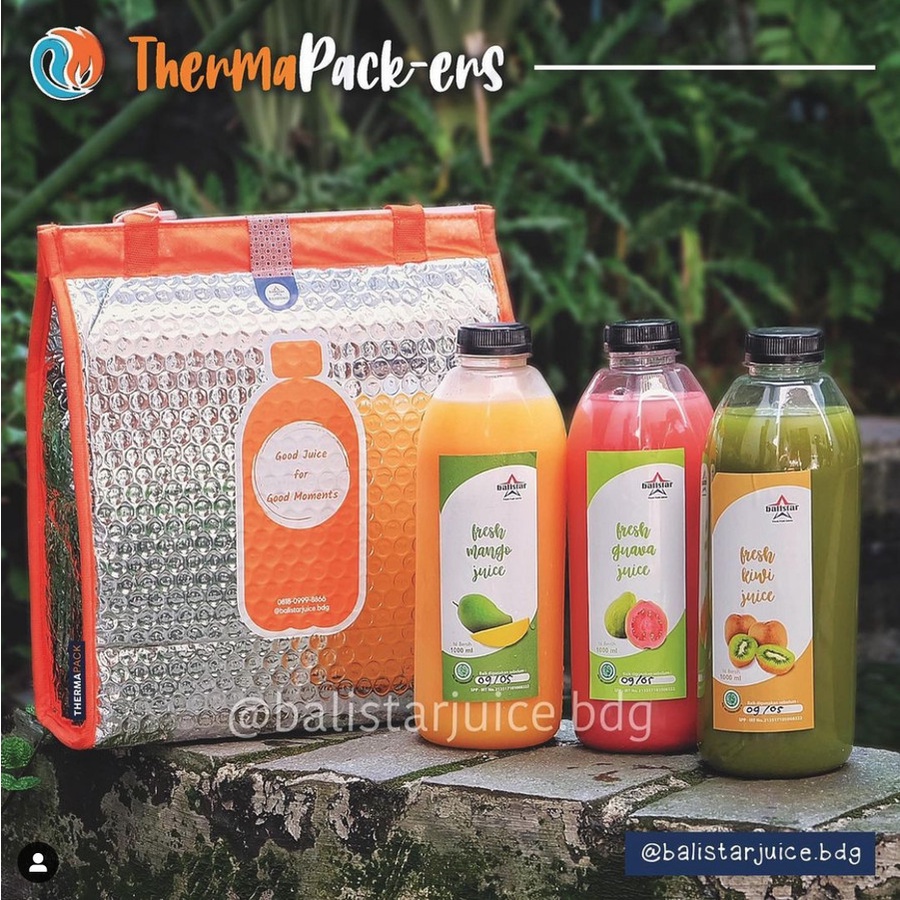 ThermaPack Custom Aluminium Cooler Bag | Custom Packaging Tas Thermal