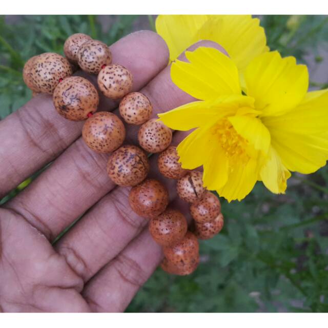 Gelang Biji Rotan Gelang Aksesoris Gelang Pria Gelang Wanita