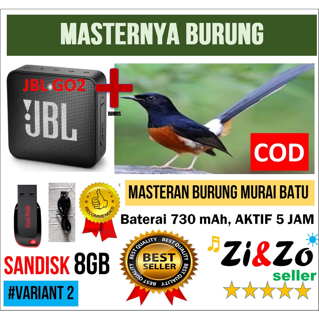 Masteran Burung Murai Batu Terbaru