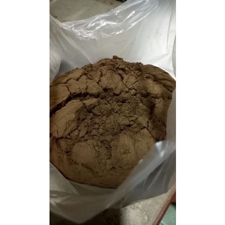 

bubuk kopi robusta bengkulu