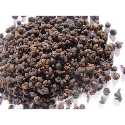 

10 G 50 GR 100 GRAM 吴茱萸 WU ZHU YU WU CU YI FRUCTUS EVODIAE EVODIA FRUIT FRUITS