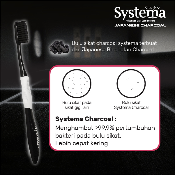 Systema Sikat Gigi Charcoal Reguler Isi 2 Pcs