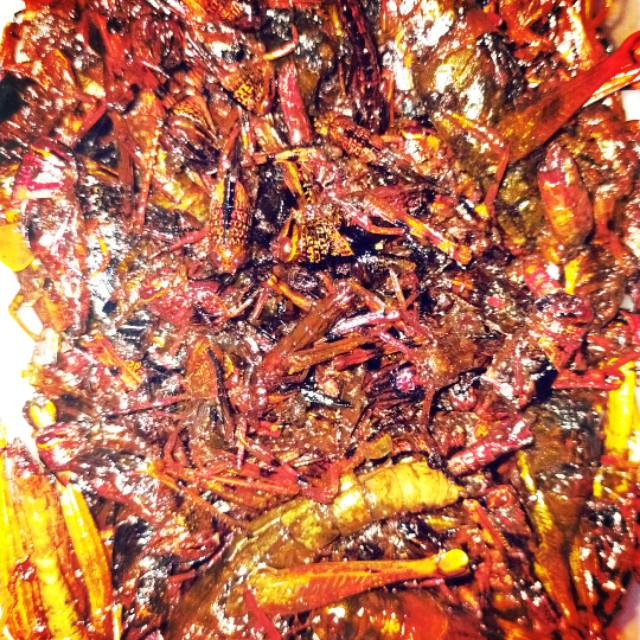 

Walang goreng dogolan campur kayu besar
