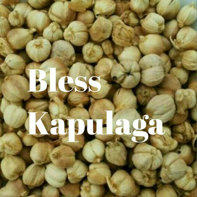 

Kapol kapulaga kapolaga cardamon kapulogo 1000gr putih