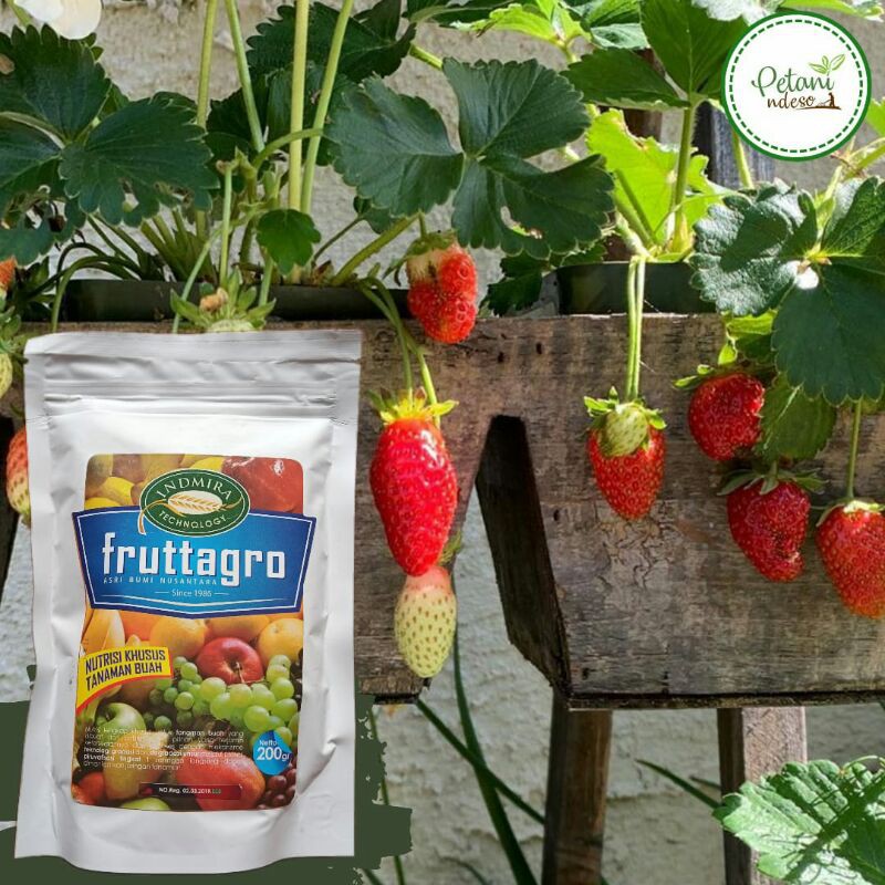 Pupuk Organik Khusus Tanaman/ Pohon Buah-Buahan Fruttagro Jeruk Anggur Strawberry Jambu Durian Apel