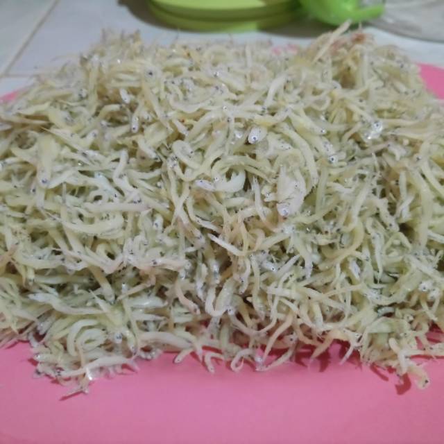 

Teri Nasi