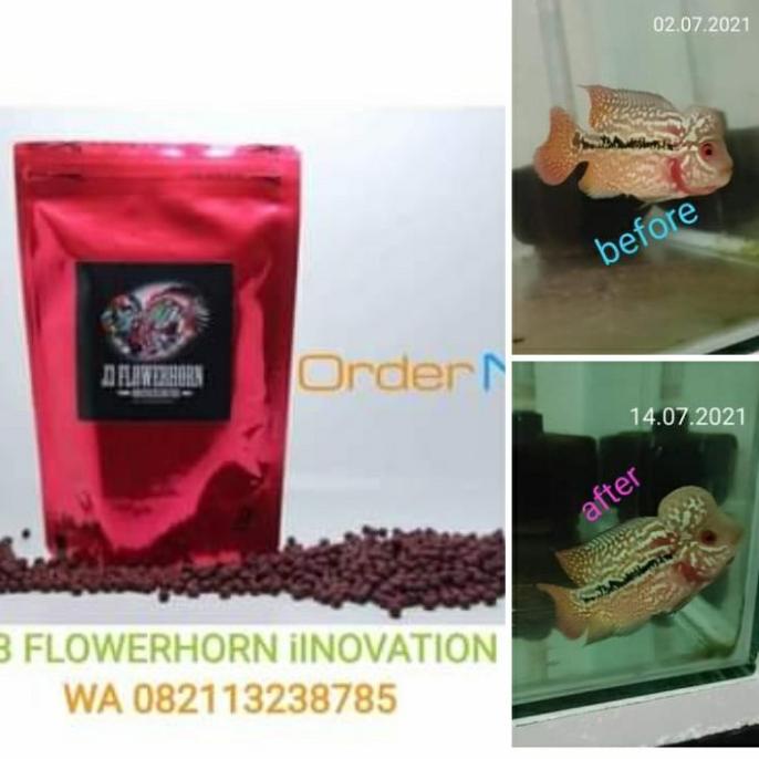 SUPER RED J3 Flowerhorn ( pelet louhan)