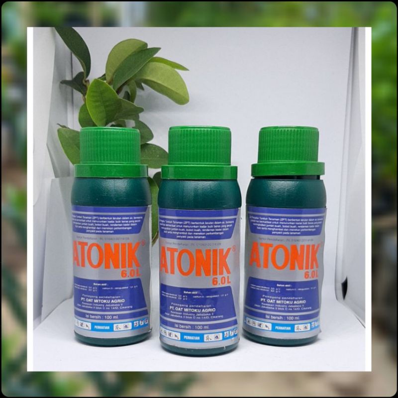 Pupuk Hormon Zat Pengatur Tumbuh Atonik 6.5L .100ML