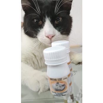 IMUNO CAT SYRUP 30 mL Imunitas flu Kucing Virus Penleukopenia Calici